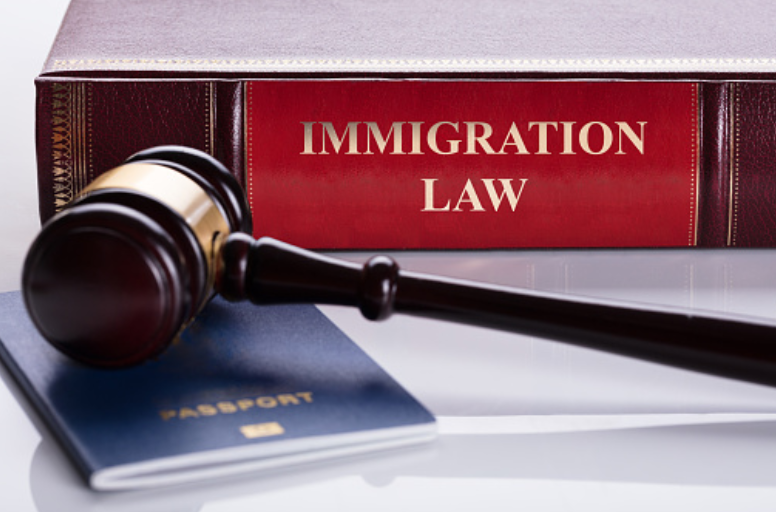 immigration lawyer